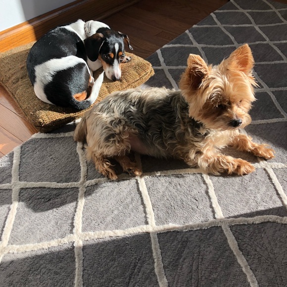 Meet your Posher, Jamie - Picture 1 of 1